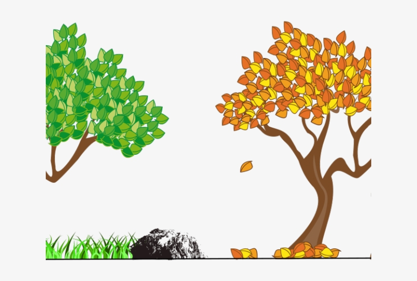 Seasons Of A Pear Tree, transparent png