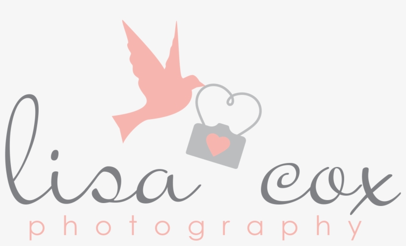Graphic Design, transparent png