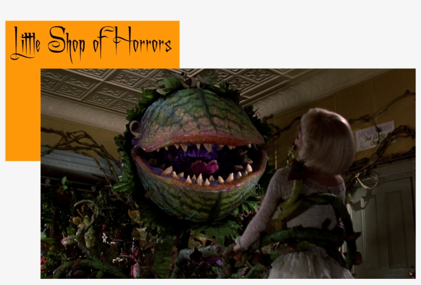 Little Shop Of Horrors Plant, transparent png