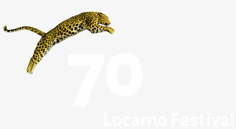 Locarno - Locarno International Film Festival, transparent png