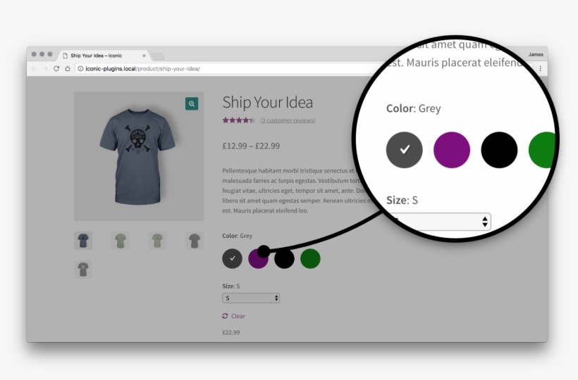 Turn Your Woocommerce Product Options Into Clickable - Woocommerce Colour Swatches, transparent png
