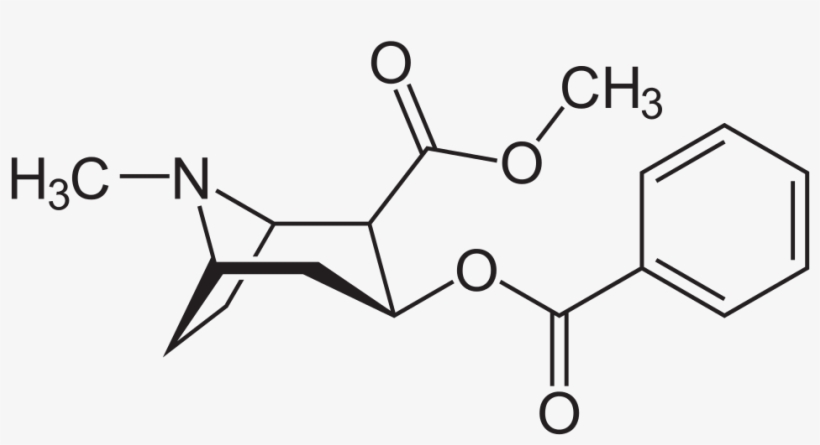 Aus Svg Automatisch Erzeugte Png-grafiken In Verschiedenen - Crack Vs Cocaine Structure, transparent png