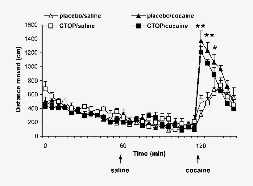 Effects Of Ctop Upon The Development Of Cocaine-induced - Injection, transparent png