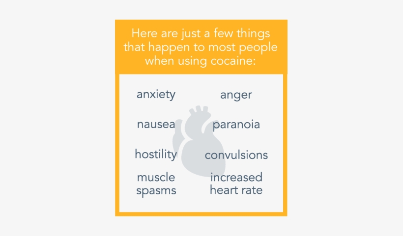 Cocaine's Dangers And Damage To The Body - .org, transparent png