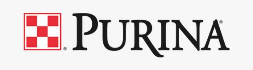 Purina Launches Site To Reconnect Horses And Riders - Purina Animal Nutrition, transparent png