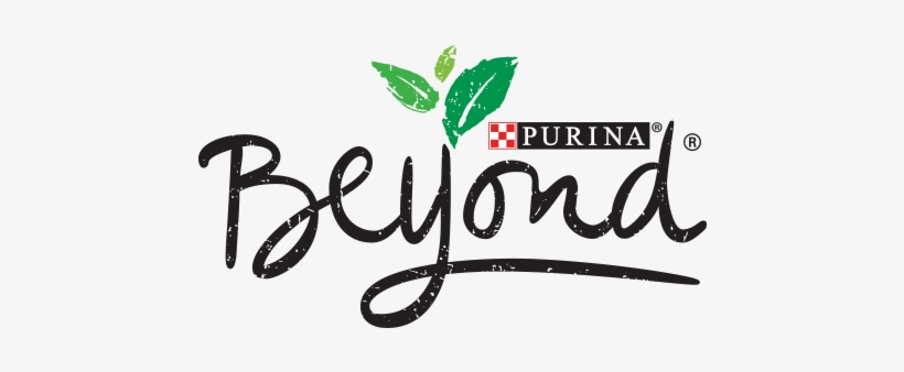 Beyond Logo - Purina Beyond Logo, transparent png