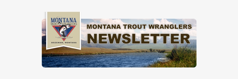 Montana Trout Wranglers Newsletter - Montana Trout Wranglers, transparent png