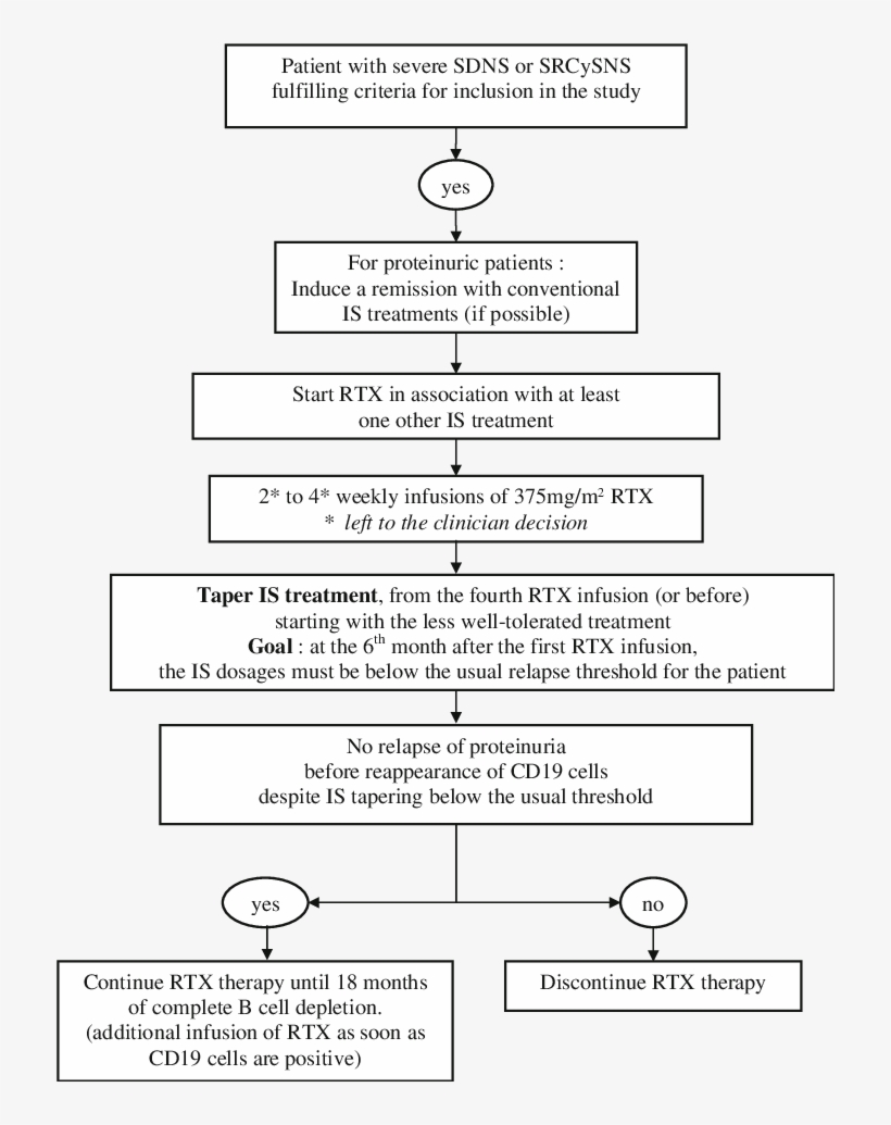 Therapeutic Guidelines For The Open Study - Therapy, transparent png