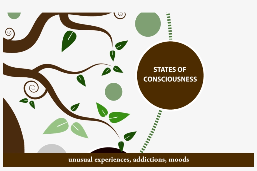 Have You Or A Loved One Ever Lost The Ability To Know - History Tree Of Psychology, transparent png