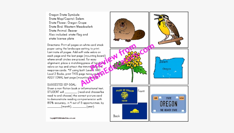 Special Education, transparent png