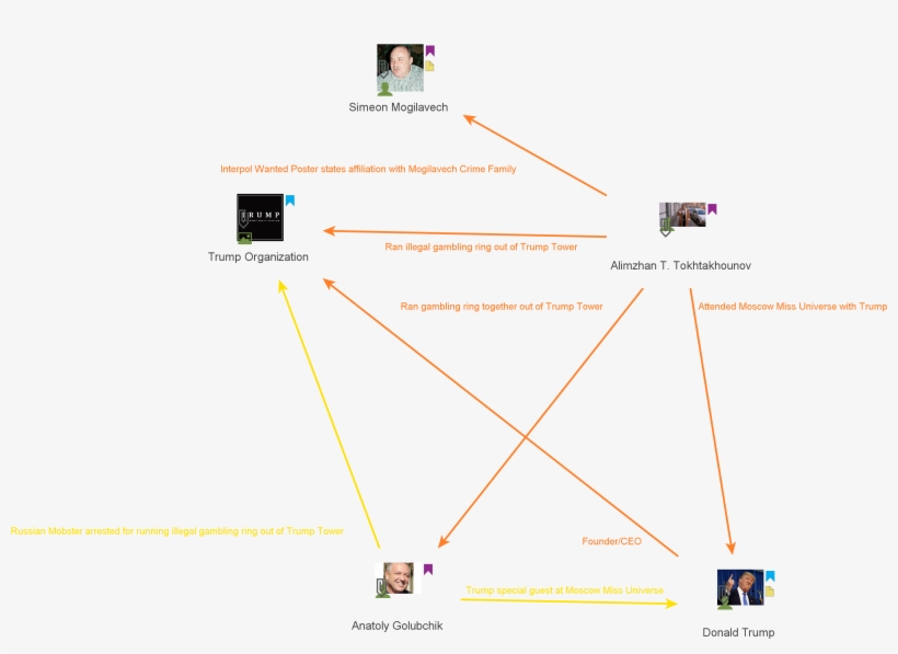 Tokhtakhounov - Diagram, transparent png