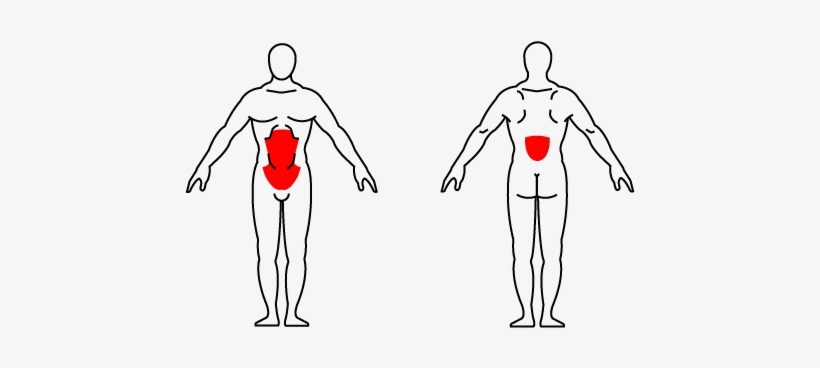 Kettlebell Russian Twist - Kettlebell Around The Body Muscles, transparent png