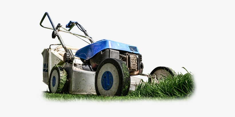 Lawn Care Services Png, transparent png
