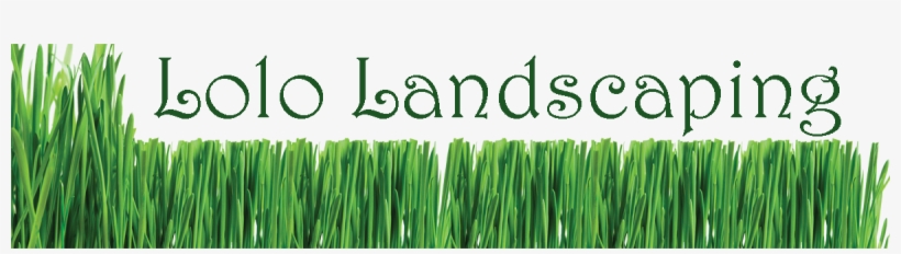 Lolo Lawn And Landscaping - Baking And Wine Round Ornament, transparent png