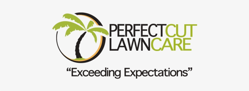 Kinetic Typography, transparent png