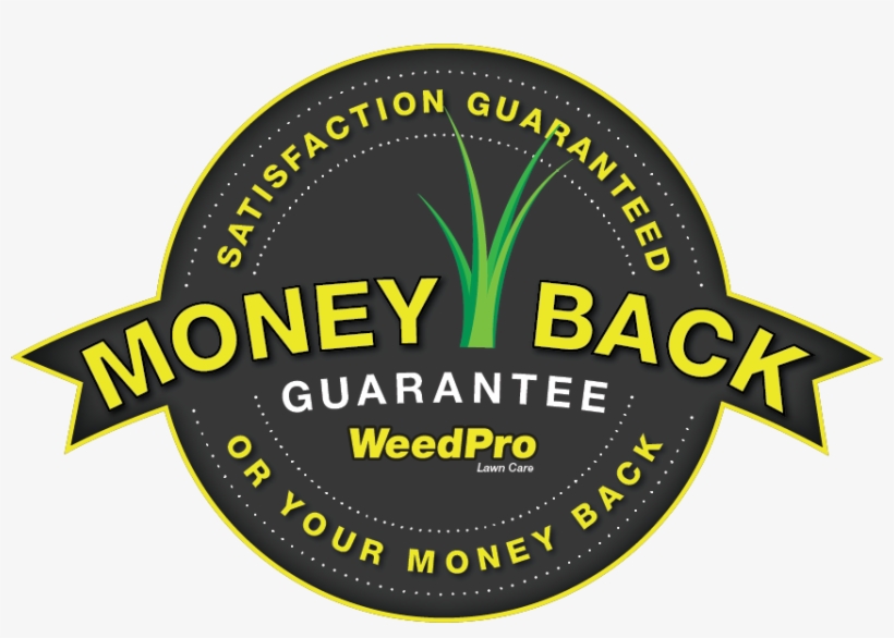 18 Years Of Excellence - Circle, transparent png