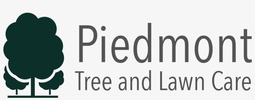 Camp Winnipesaukee, transparent png