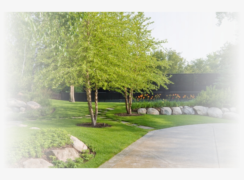 Custom Landscaping Projects In St Louis Mo - Birch Trees Landscaping, transparent png
