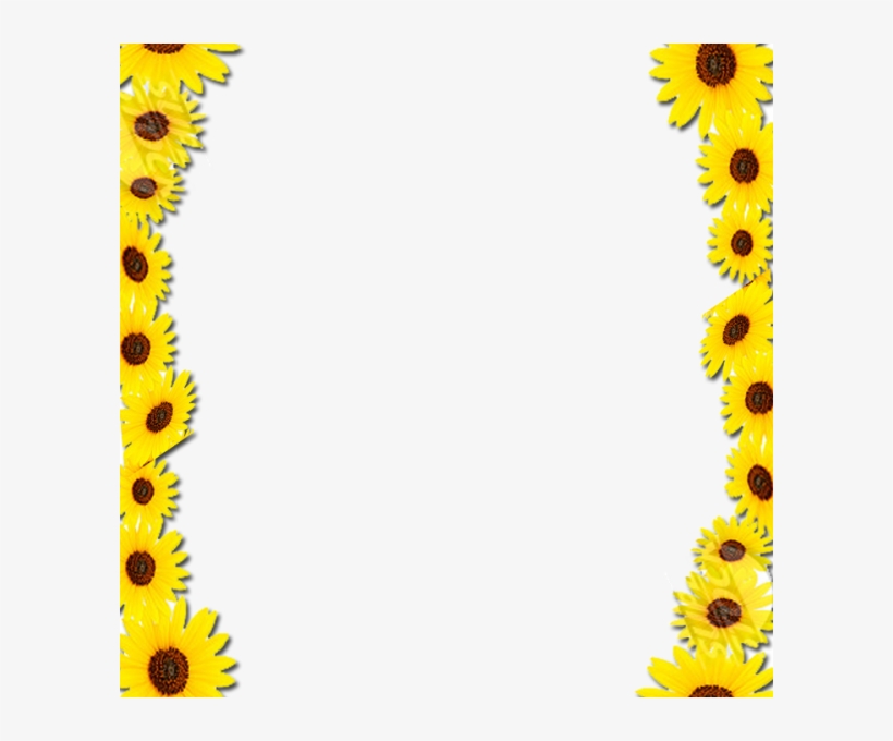 Free Icons Png - Sunflower Border Design, transparent png