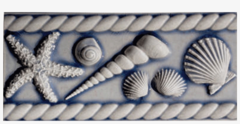 3 1/4" X 8" Seashell Border, transparent png