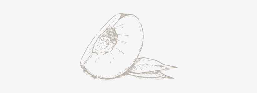 Peach Ale - Sketch, transparent png