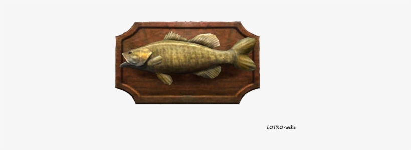 Big Mouth Bass Trophy - Carp, transparent png