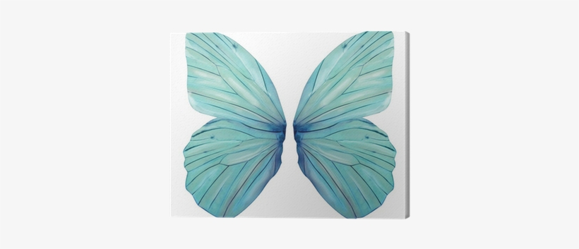 Fairy Wings, transparent png
