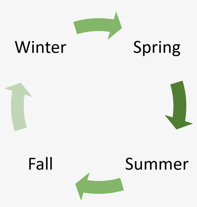 Goodbye Summer Png - Phage Display Life Cycle, transparent png