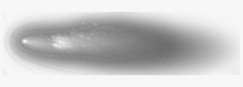 Ucla Sims Comet 73p - Monochrome, transparent png