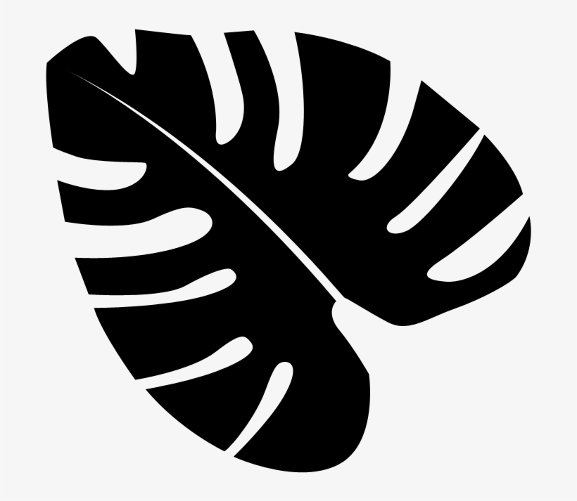 Leaf Design - Illustration, transparent png