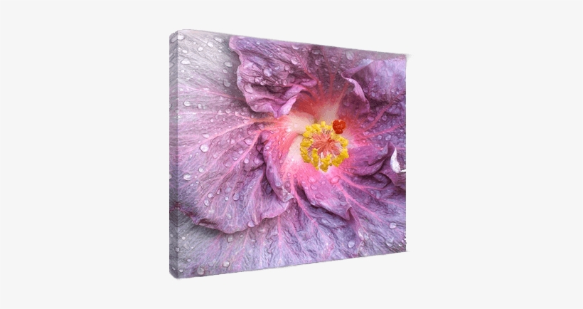 Digital Photo Printing To Canvas Turn Photos Into Art - Canvas, transparent png