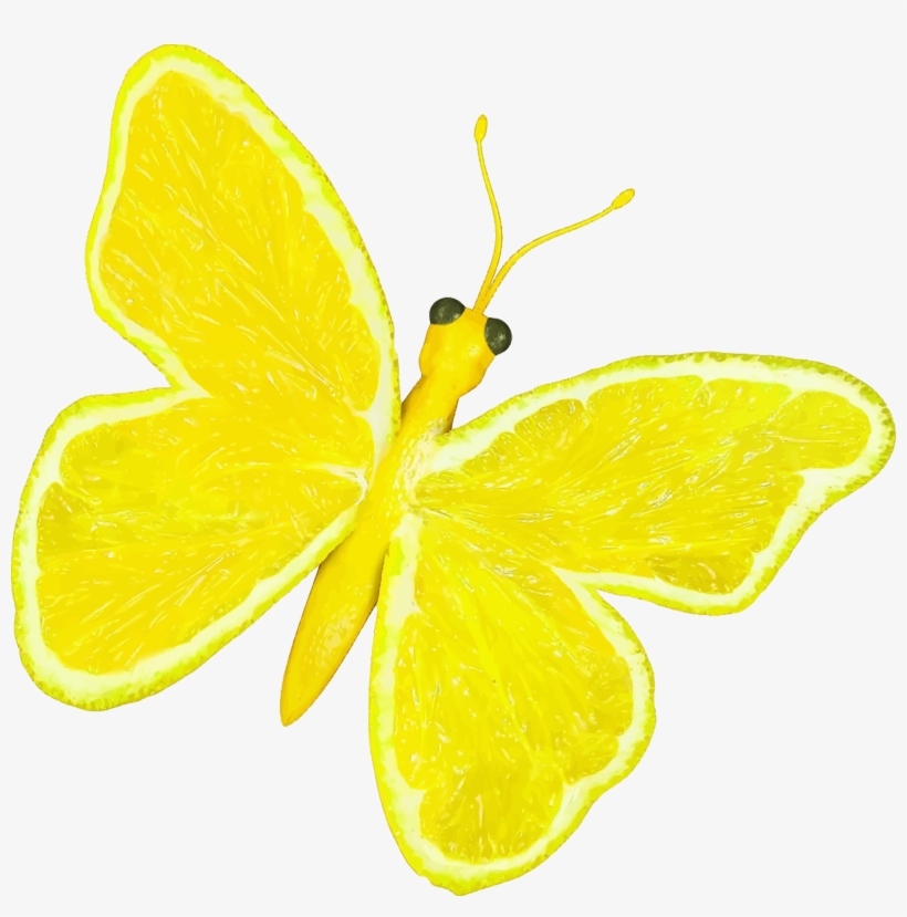 This Free Icons Png Design Of Citrus Fruit Butterfly, transparent png
