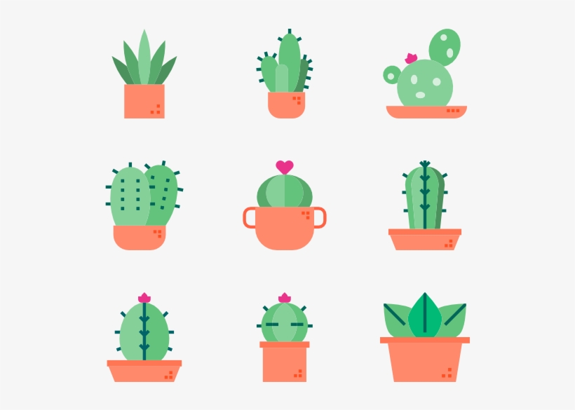 Cactus, transparent png