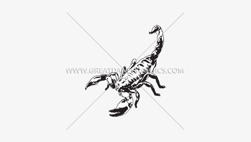 Scorpion Night - Printed T-shirt, transparent png