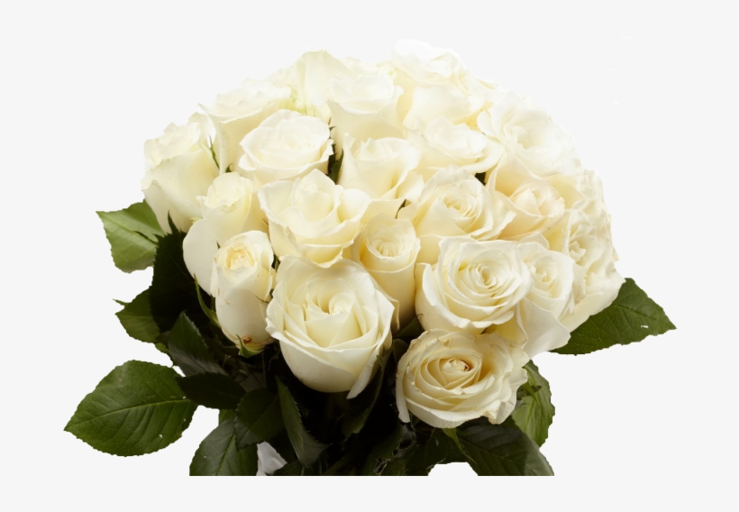 White Rose Bouquet Png, transparent png