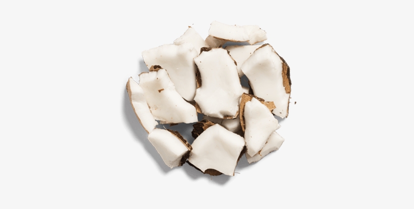 Coconut Milk - Hair Conditioner, transparent png