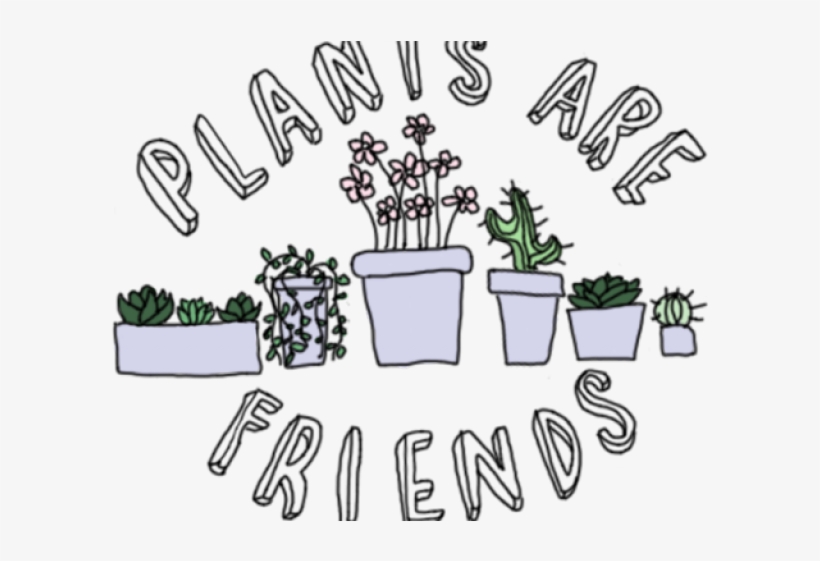 Drawn Plant Cactus Succulent - Plants Are Friends, transparent png
