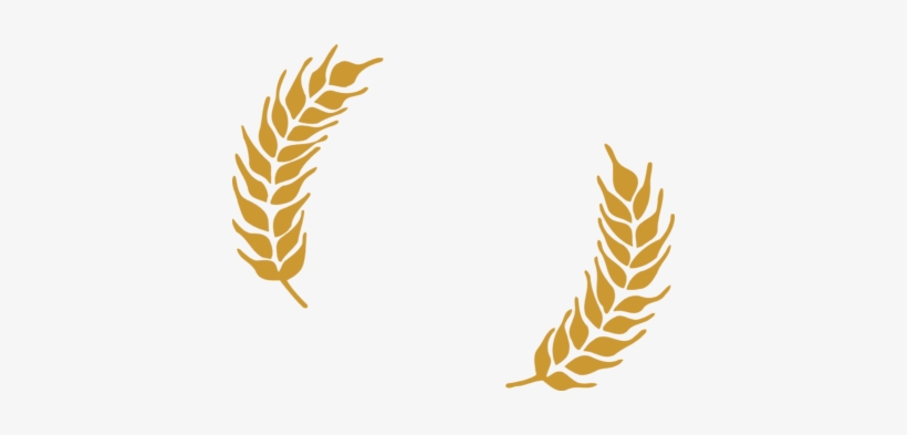 Banner Black And White Download Collection Of Wheat - Brew Kettle Wheat Beer, transparent png