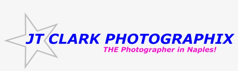 Subway Logo Transparent Background - Postcard Size, transparent png