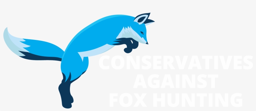Contact Us - Fox Blue, transparent png