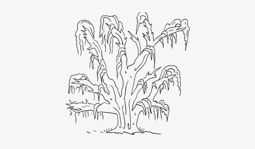 Audubon Park Oak Tree Engagement Session - Line Art, transparent png