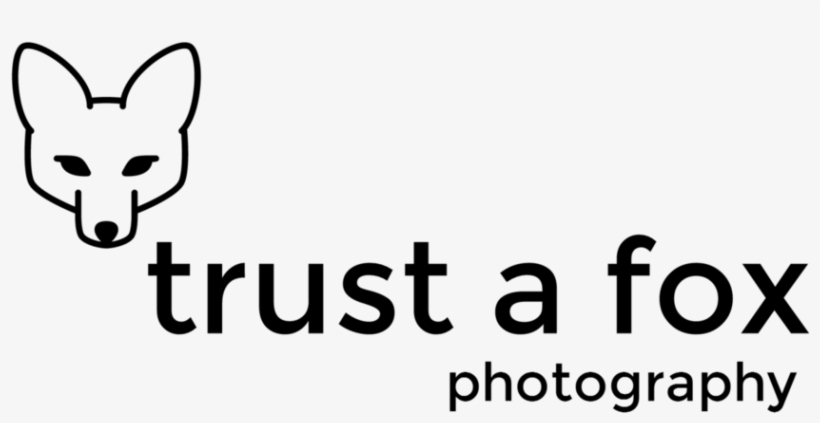 Music Captured In Images, transparent png