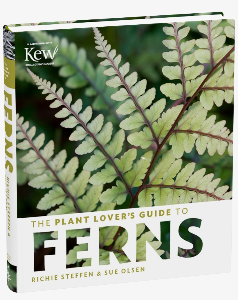 The Plant Lover's Guide To Ferns, transparent png