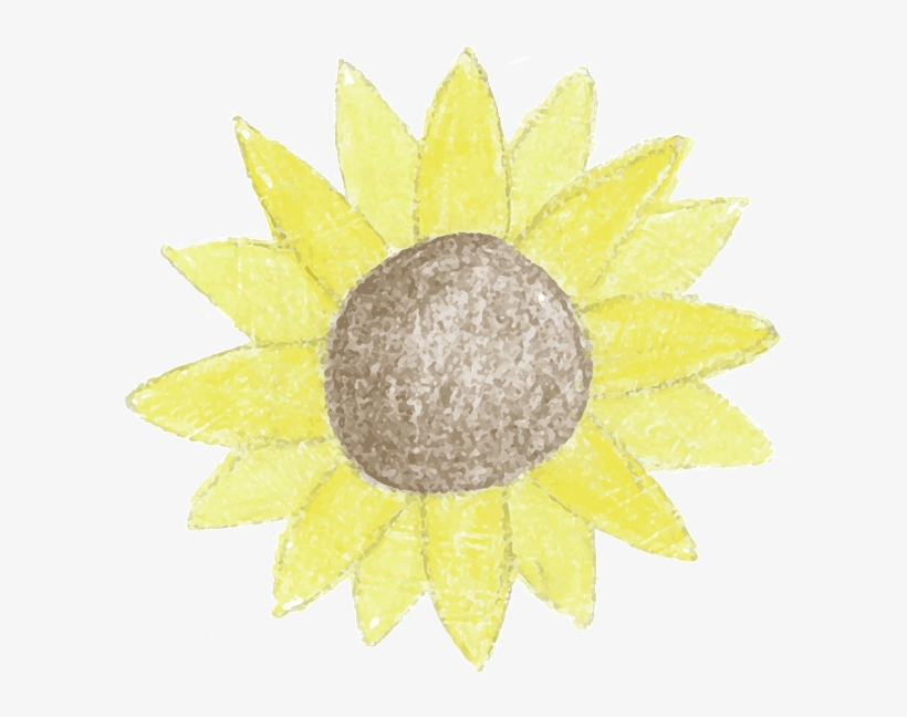 Sunflower - Kreative Transparentpapier Sterne, transparent png