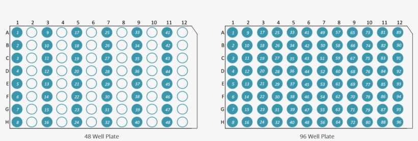 Organising 48 And 96 Well Plates - Textile, transparent png