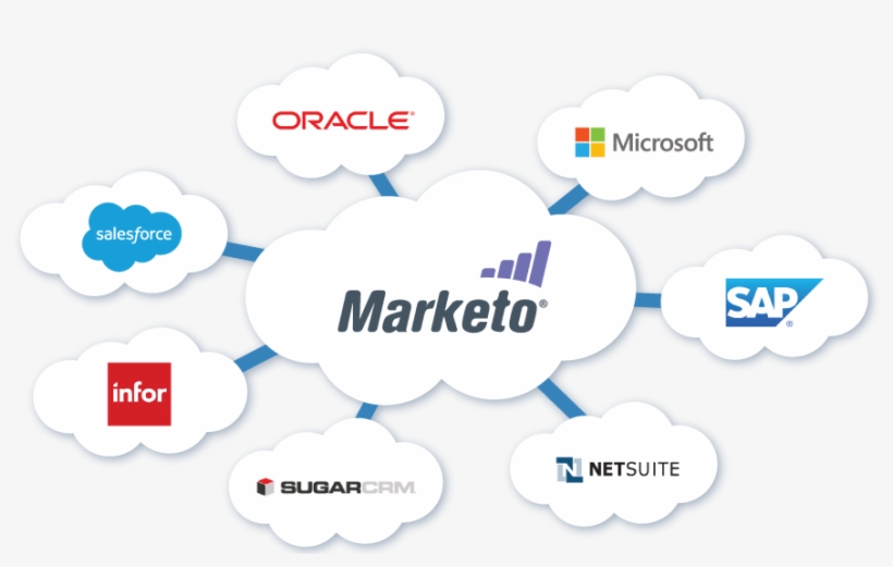 Marketo Sync - Marketo, transparent png