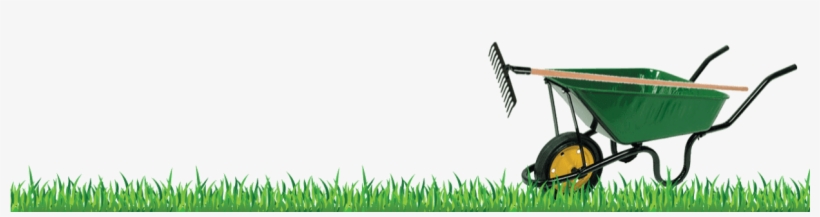 Lawn Care - Lawn, transparent png