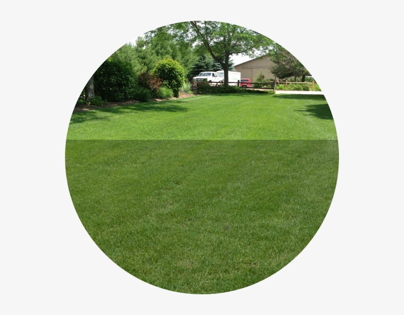 Top-notch Service - Community Lawn Care, transparent png