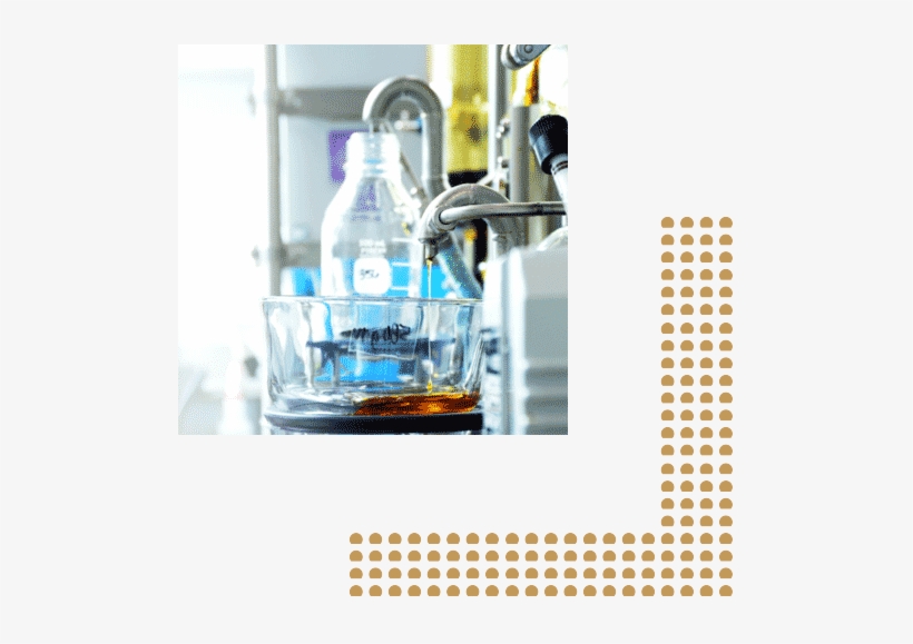 Mari-values - Portable Network Graphics, transparent png