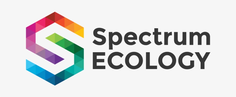 Logo Logo, transparent png